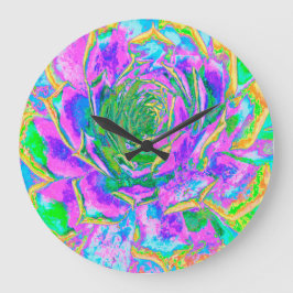 Rainbow Färg Fiesta Succulent Sedum Rosette Stor Klocka