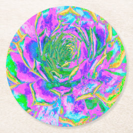 Rainbow Färg Fiesta Succulent Sedum Rosette Underlägg Papper Rund