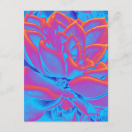 Rainbow färg Succulent plant Helg Vykort