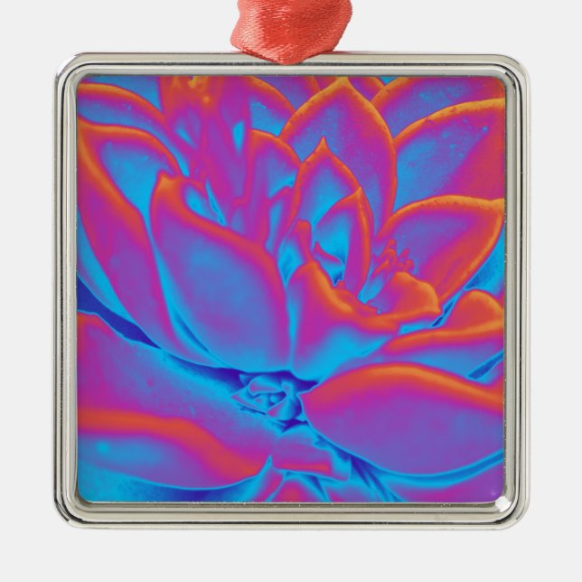 Rainbow färg Succulent plant Julgransprydnad Metall (Framsidan)