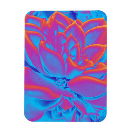 Rainbow färg Succulent plant Magnet