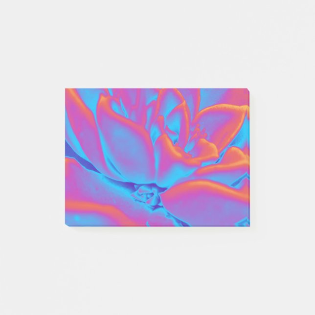 Rainbow färg Succulent plant Post-it Block (Framsida)