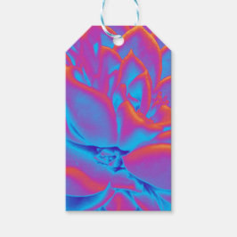 Rainbow färg Succulent plant Presentetikett