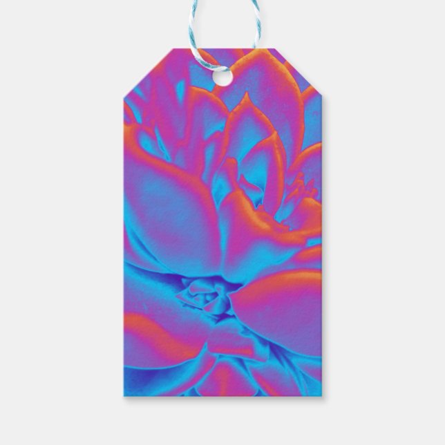 Rainbow färg Succulent plant Presentetikett (Framsidan)