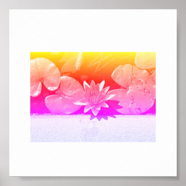 Rainbow Färg Vatten Lily Flower Plants Poster (Framsidan)