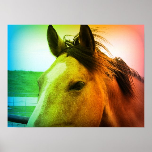 Rainbow Färgad Buckskin Poster (Framsidan)
