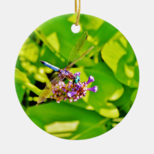 Rainbow färgad Dragonfly på en lila rosa Julgransprydnad Keramik