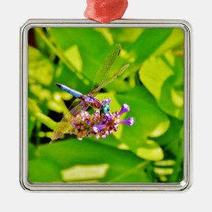Rainbow färgad Dragonfly på en lila rosa Julgransprydnad Metall