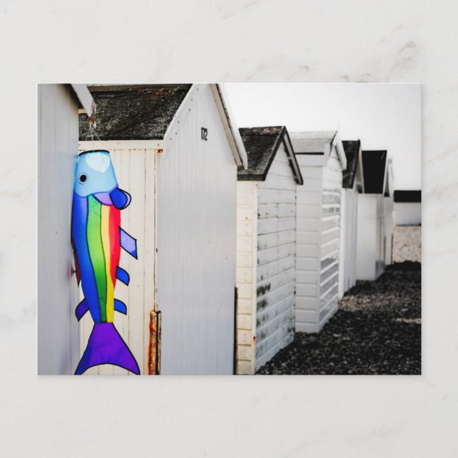 Rainbow Färgad Kite Vykort (Framsida)