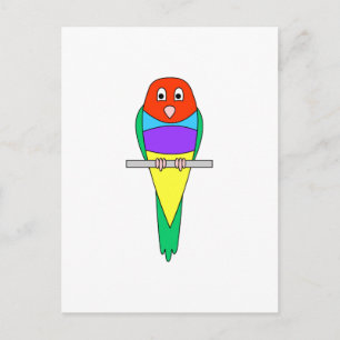 Rainbow Finch Bird. Färgfull Gouldian. Vykort
