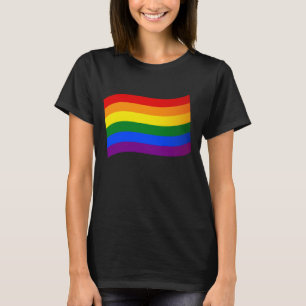 Rainbow Flagga Gay pride LGBT Kärlek är Kärlek HBT T Shirt