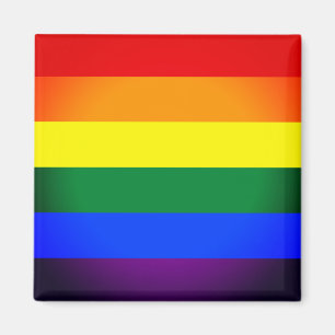 Rainbow Flagga & Pride Rainbow/LGBT community Magn Magnet