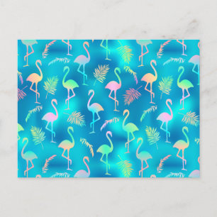 Rainbow Flamingo's Vykort