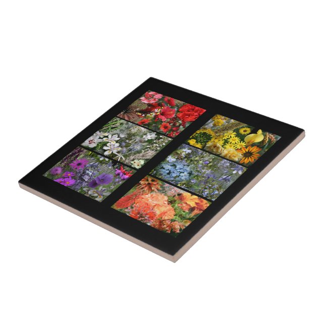 Rainbow Flower Photo Collage Kakelplatta (Sidan)