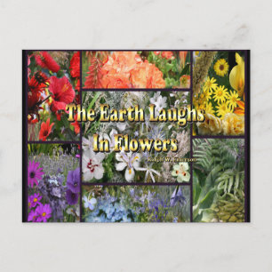 Rainbow Flowers - Earth Laughs by Emerson Vykort