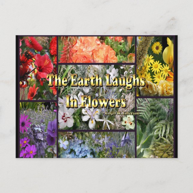 Rainbow Flowers - Earth Laughs by Emerson Vykort (Framsida)