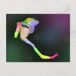 Rainbow Frog vykort