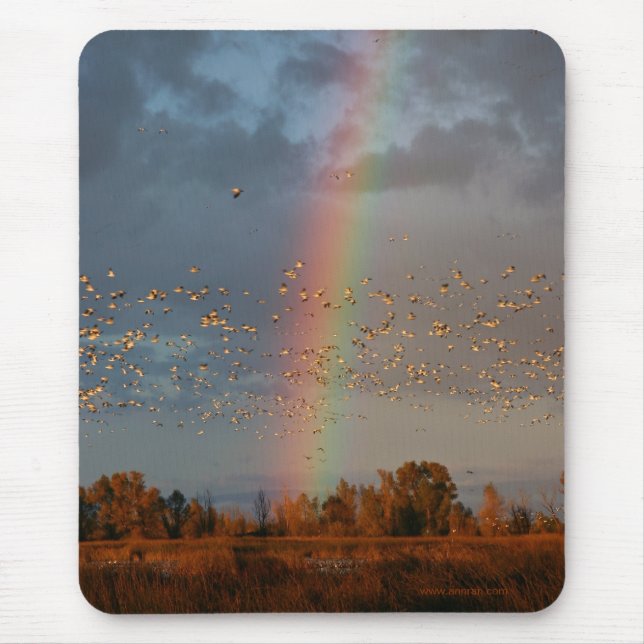 Rainbow & Geese Mousepad Musmatta (Framsidan)