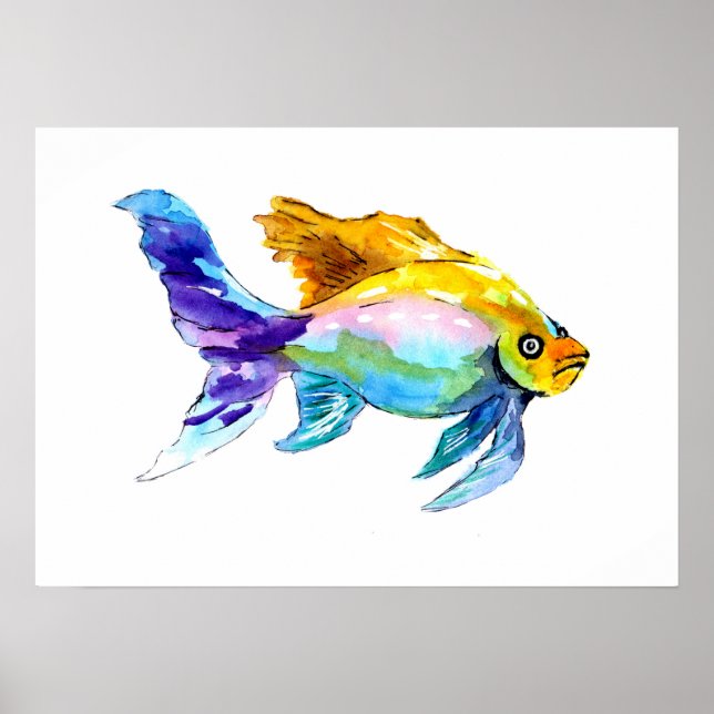 Rainbow Goldfish Poster (Framsidan)