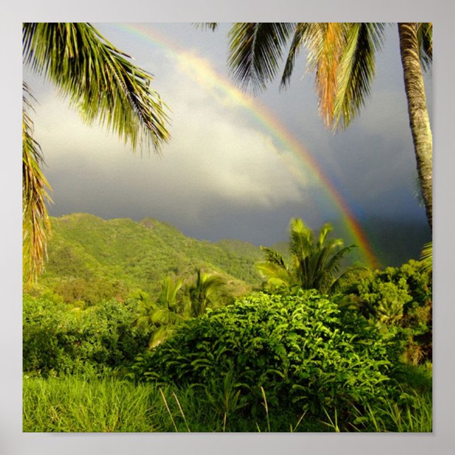 Rainbow-Hakipuu Poster (Framsidan)