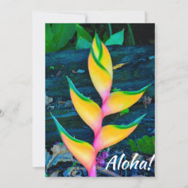 Rainbow Heliconia, Haena, Kauai, Hawaii Inbjudningar