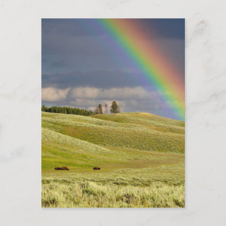 Rainbow Himlar Office Personalize Destiny Destiny' Vykort