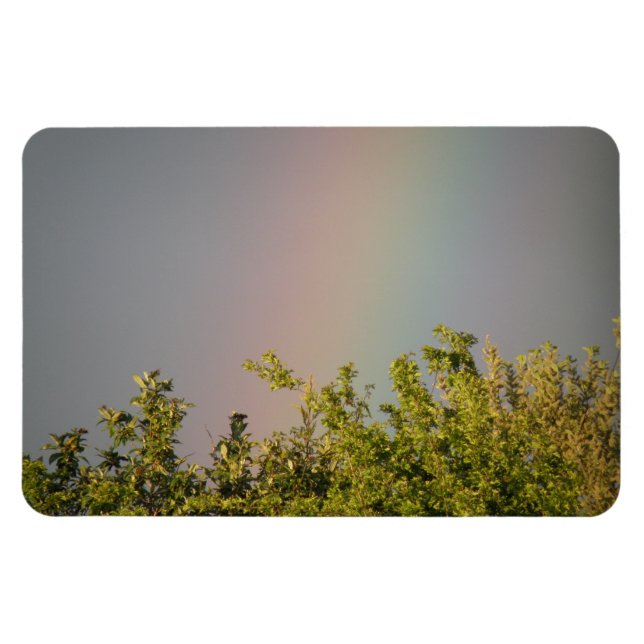 Rainbow Himlar Premium Magnet (Horisontell)