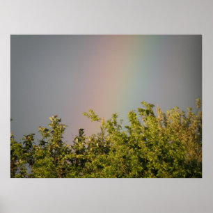 Rainbow Himlar Skriv ut Poster