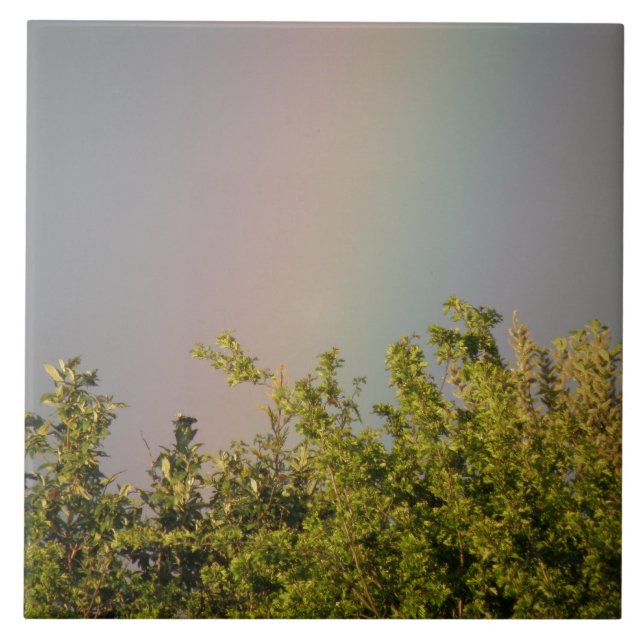 Rainbow Himlar Tile Kakelplatta (Framsidan)
