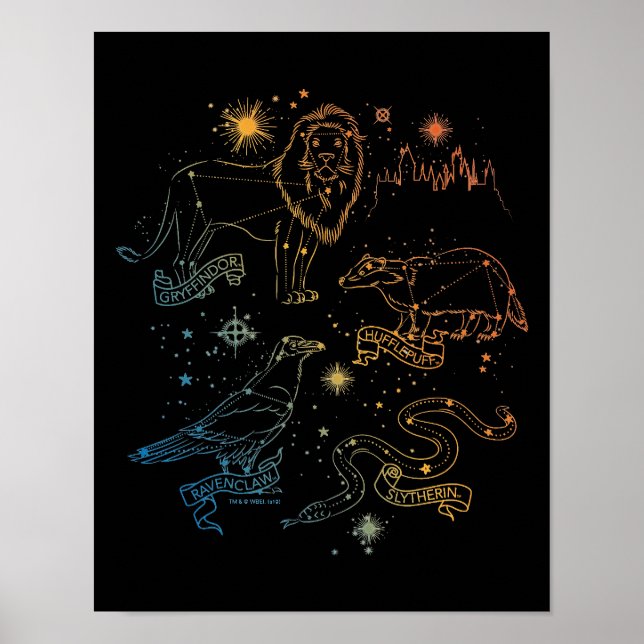 Rainbow HOGWARTS™ Houses Constellations Poster (Framsidan)