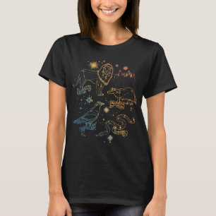 Rainbow HOGWARTS™ Houses Constellations T Shirt