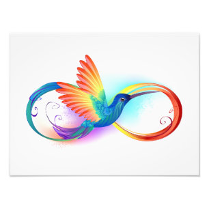 Rainbow Hummingbird med oändlighetssymbol Fototryck