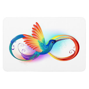 Rainbow Hummingbird med oändlighetssymbol Magnet