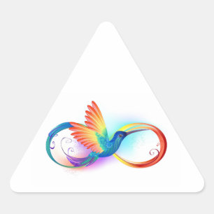 Rainbow Hummingbird med oändlighetssymbol Triangelformat Klistermärke