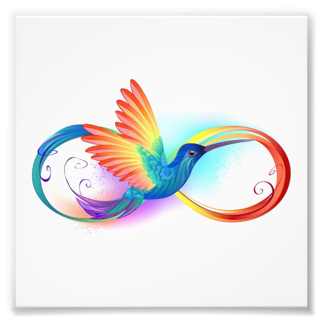 Rainbow Hummingbird with Infinity symbol Fototryck (Framsidan)