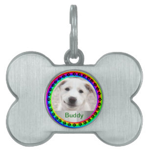 Rainbow Hund Walk av Kenneth Yoncich ID-bricka Husdjur