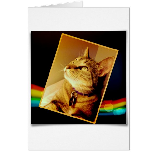 Rainbow Indigo Hälsningskort (Framsidan)