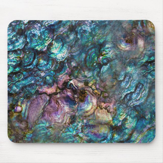 Rainbow Iridescent Abalone Sea Snäcka Musmatta (Framsidan)