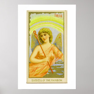 Rainbow, Iris, Poster Print