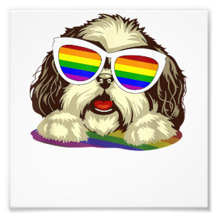 Rainbow LGBT Flagga Gay pride Shih Tzu Hund Copy Fototryck