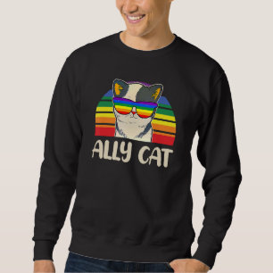 Rainbow Lgbt Gay Lesbisk Trans Pride Ally Cat Glas Lång Ärmad Tröja