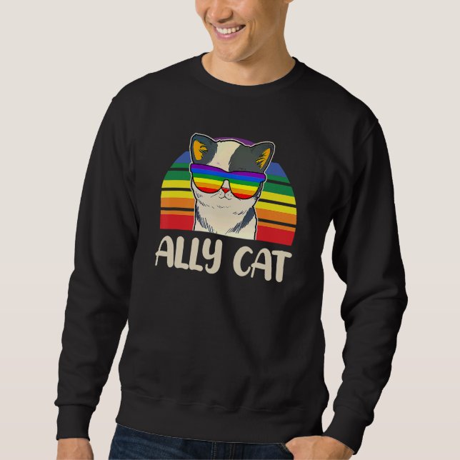 Rainbow Lgbt Gay Lesbisk Trans Pride Ally Cat Glas Lång Ärmad Tröja (Framsida)