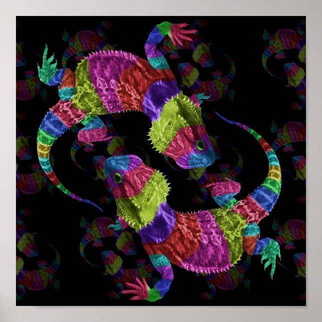Rainbow Lizards Poster (Framsidan)