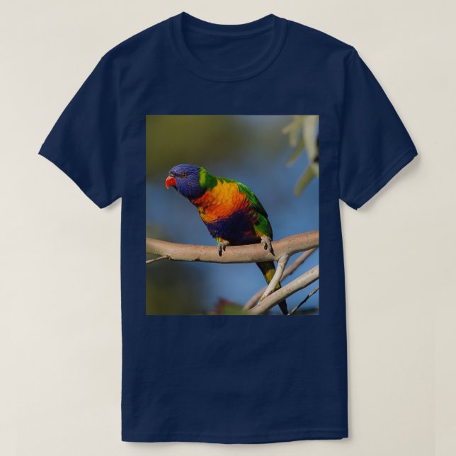 Rainbow Lorikeet 4 T Shirt (Design framsida)