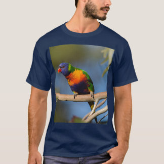 Rainbow Lorikeet 4 T Shirt