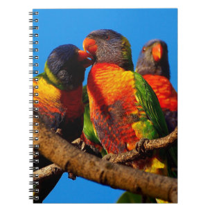 Rainbow Lorikeet bärbar dator Anteckningsbok Med Spiral