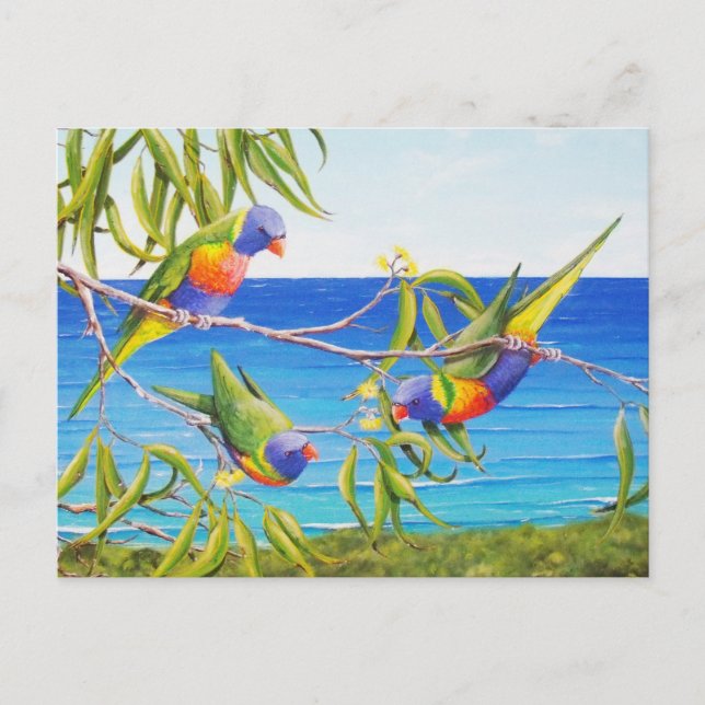Rainbow Lorikeet Birds Blue Australian Painting Vykort (Framsida)