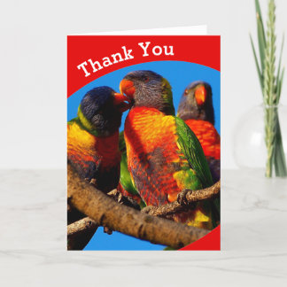 Rainbow Lorikeet blank - tackkort
