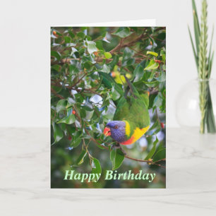Rainbow Lorikeet Grattis på födelsedagen Greeting Kort
