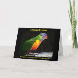 Rainbow Lorikeet Julafton Card Helgkort